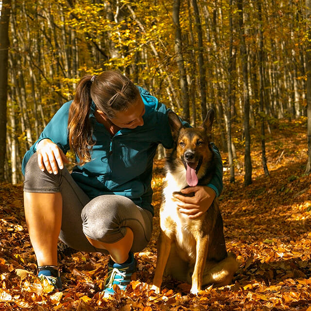 Hund mit Besitzerin im Wald