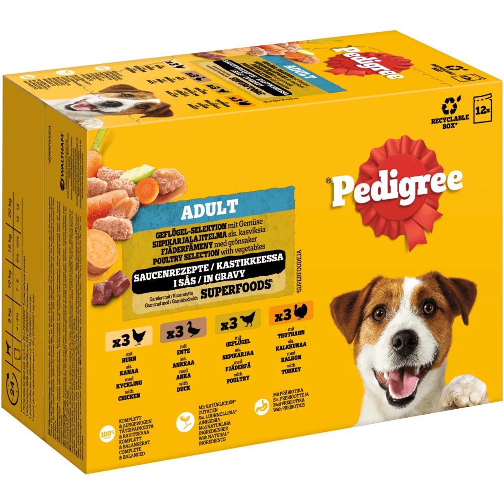 PEDIGREE® Multipack Portionsbeutel Geflügel-Selektion 4 Varietäten Huhn, Ente, Geflügel, Truthahn in Sauce 12x100g